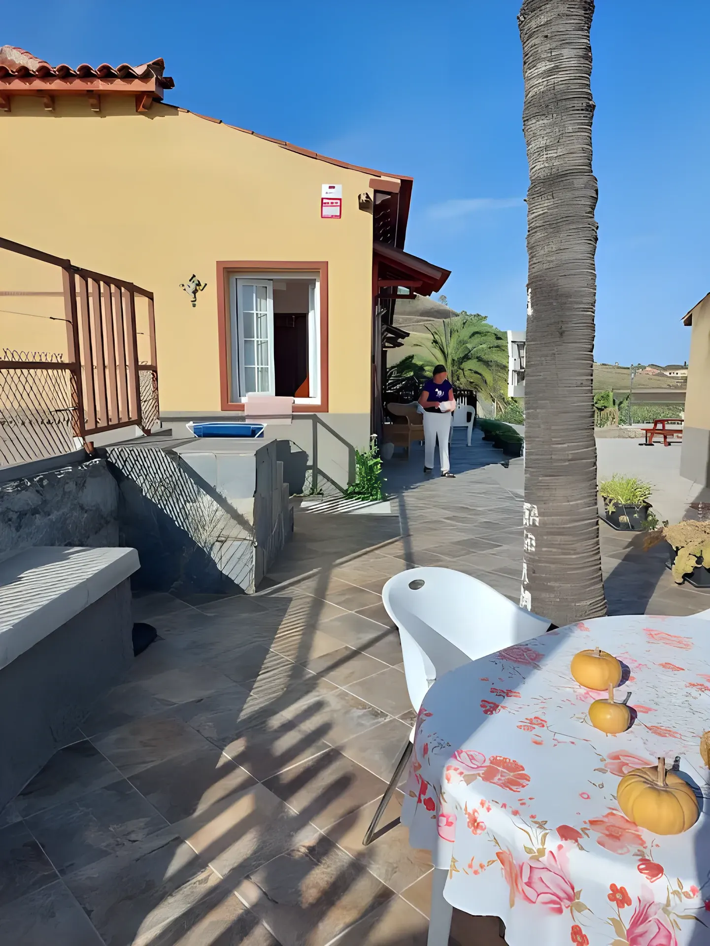 Entrada al apartamento junto a la palmera y la mesa de la terraza