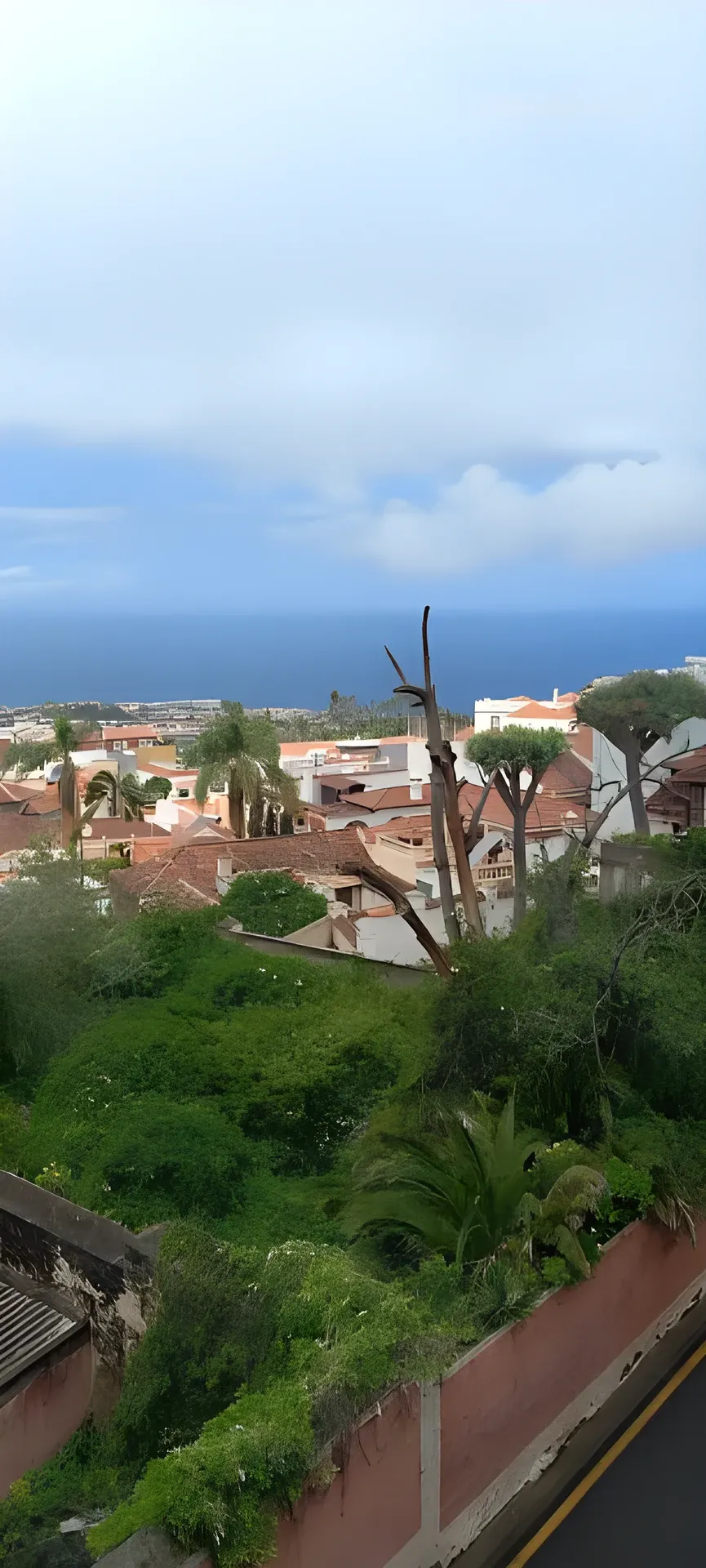 Vistas al Atlántico y a los tejados de Puerto de la Cruz desde la finca