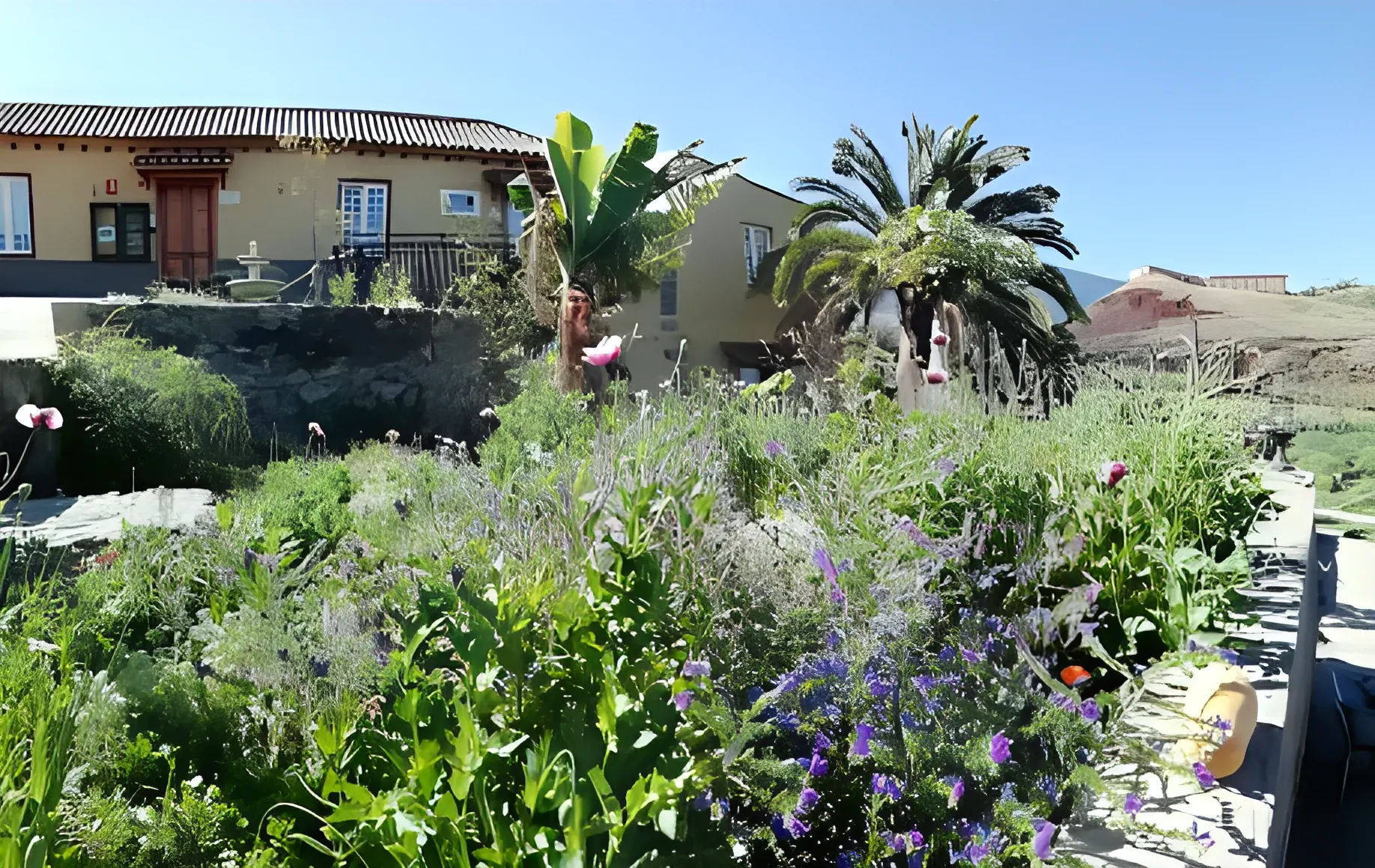 Jardín en flor junto al muro de piedra volcánica